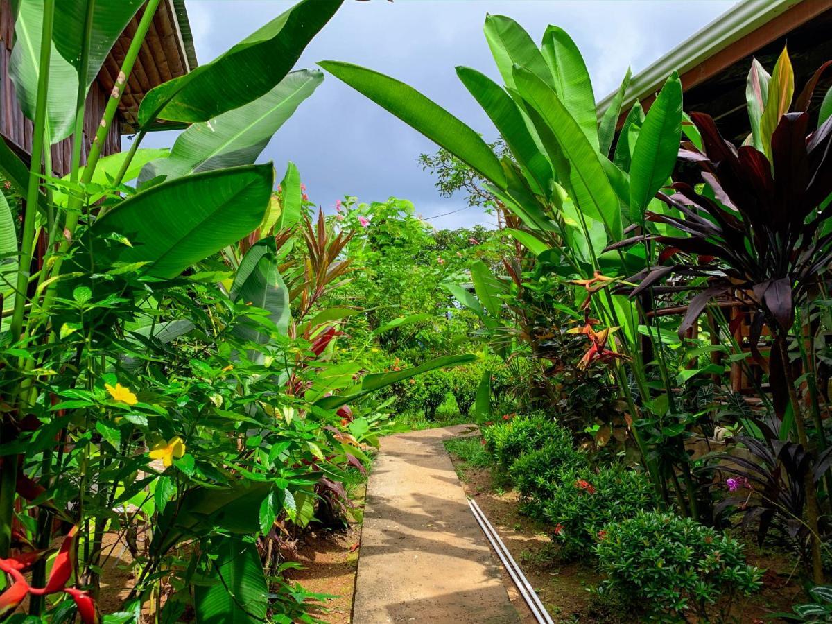 Cotingas Ocean View Villa Drake Bay ภายนอก รูปภาพ